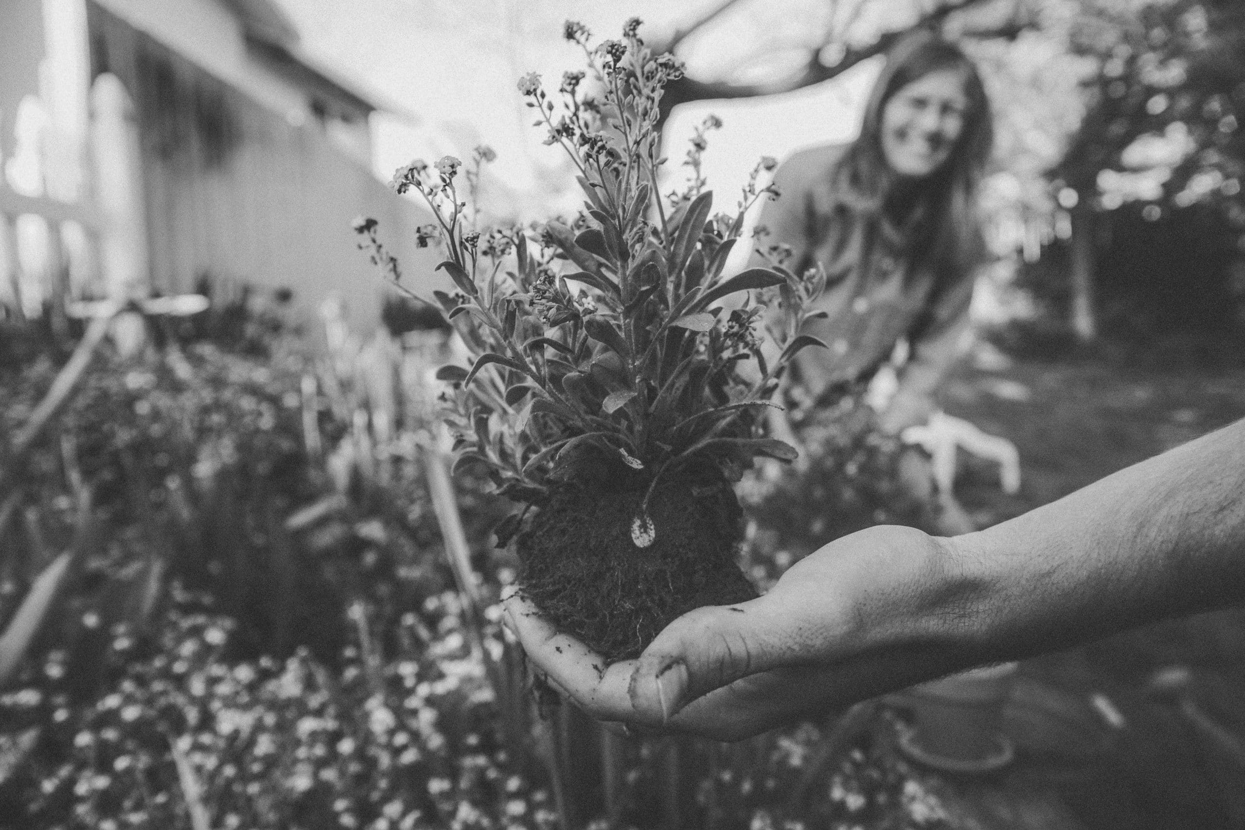 Spring Shopping Trends Your Business Should Get on Board With