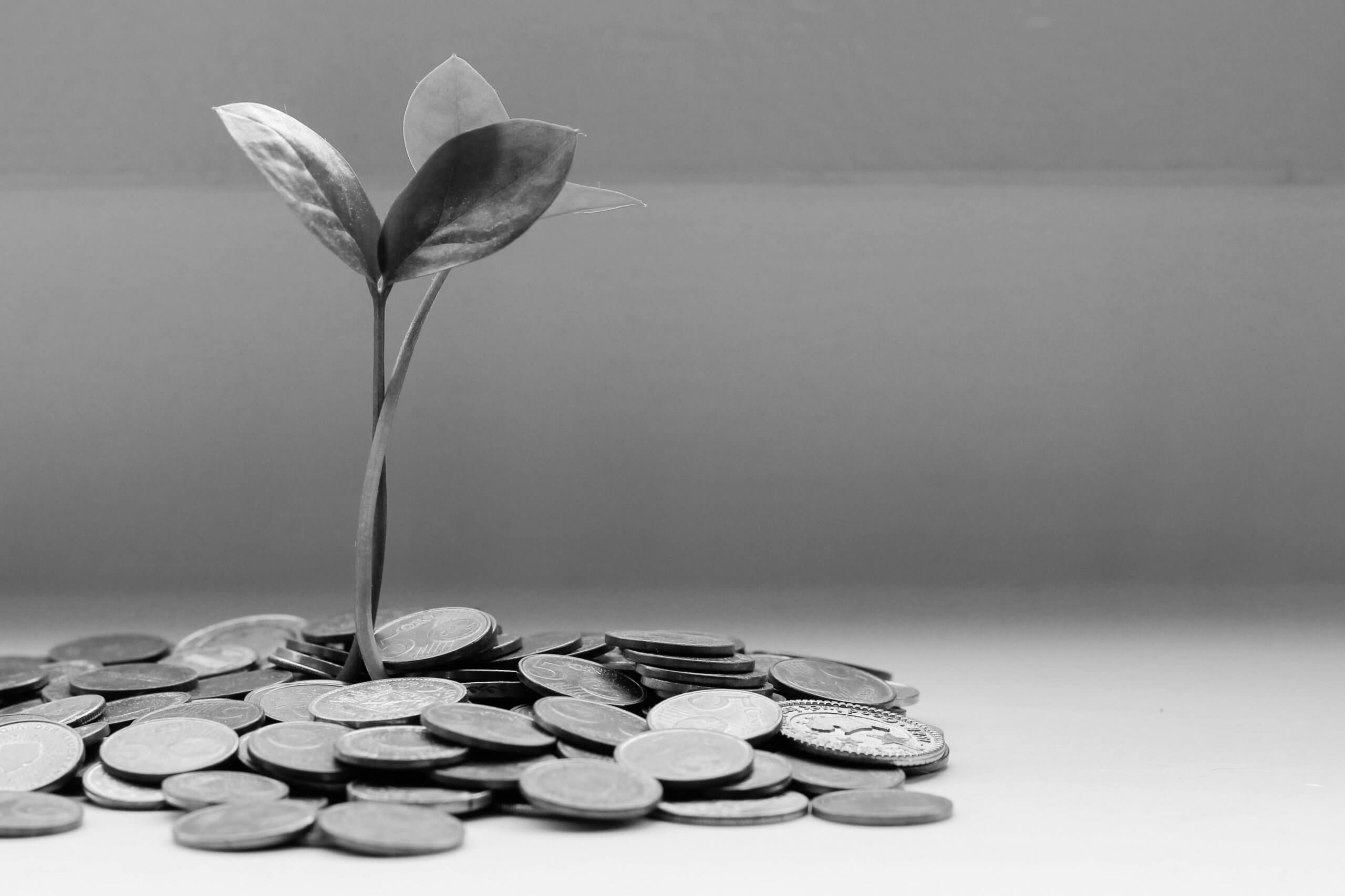 What is Average Transaction Value (ATV), and Why is it Important?